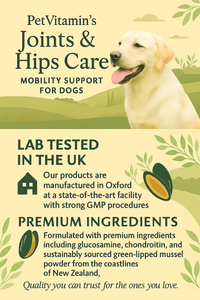 Hips, Joints & Bones Supplement For Dogs (90 tablets)