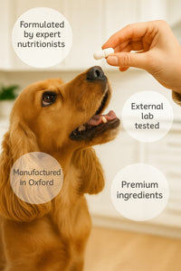 Hips, Joints & Bones Supplement For Dogs (90 tablets)